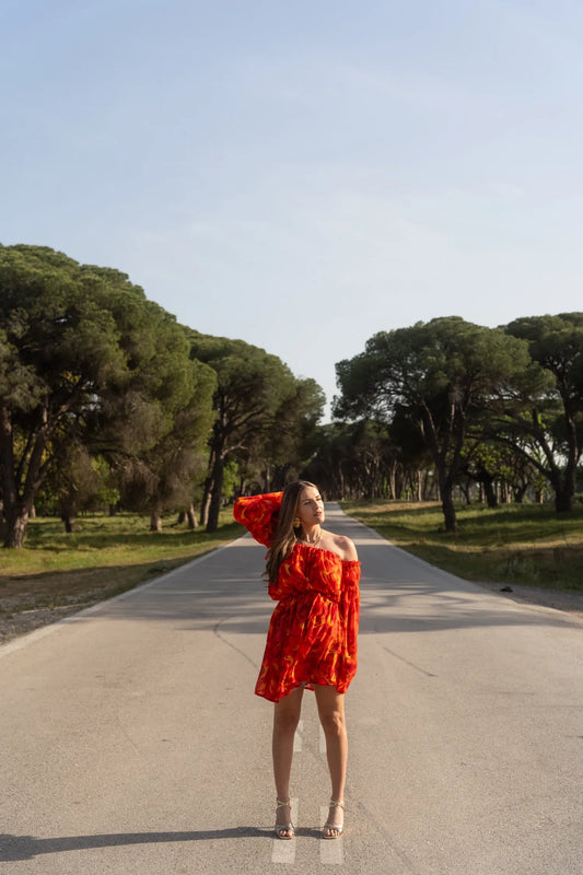 Ivy dress